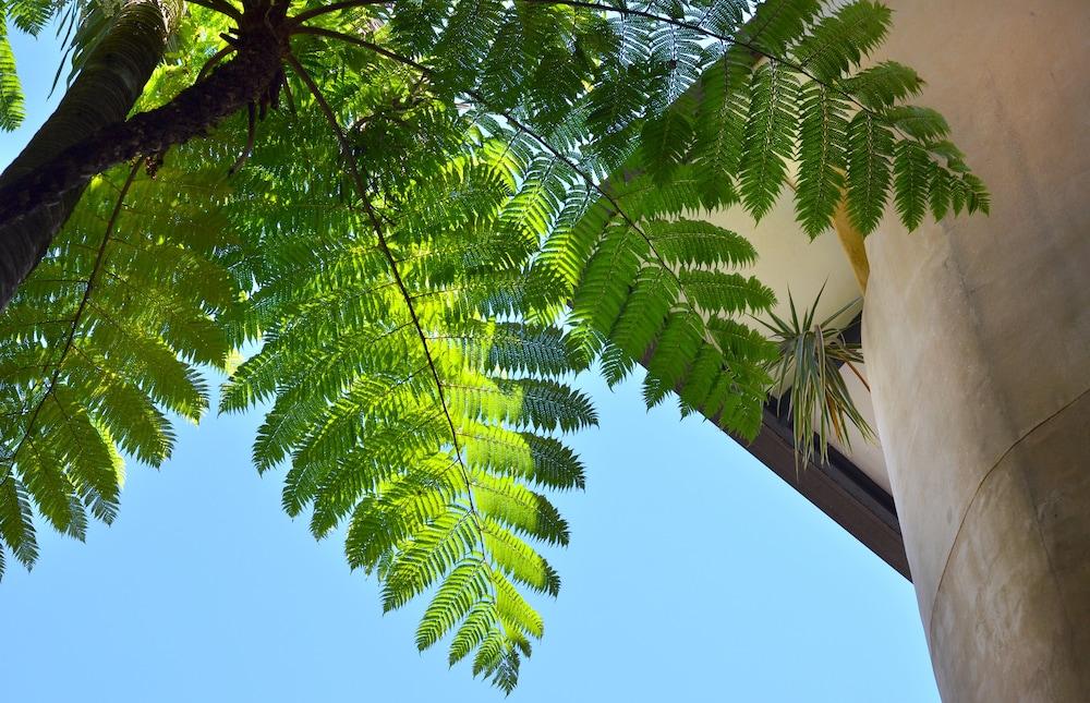 Villa San Michele Port Douglas Exteriör bild