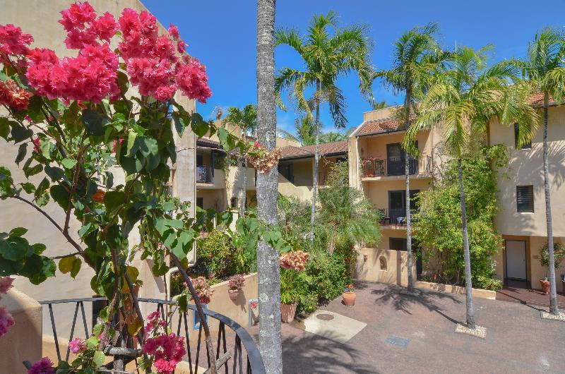 Villa San Michele Port Douglas Exteriör bild